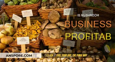 Mushroom Business: A Profitable Venture?