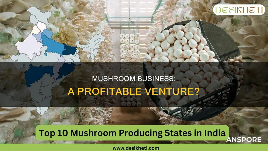 is mushroom business profitable