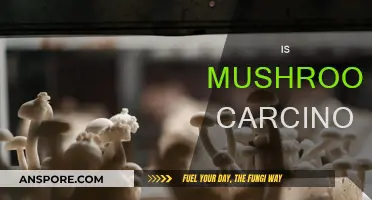 Mushrooms: Cancer-Causing or Cancer-Fighting?