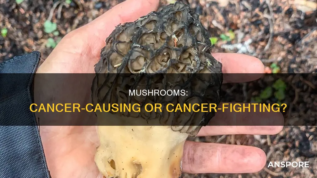 is mushroom carcinogenic