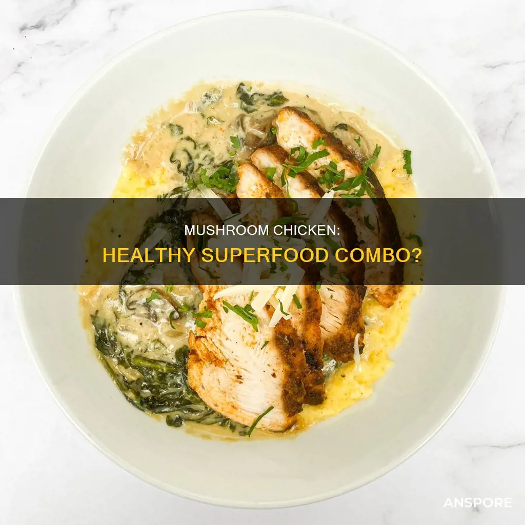 is mushroom chicken healthy