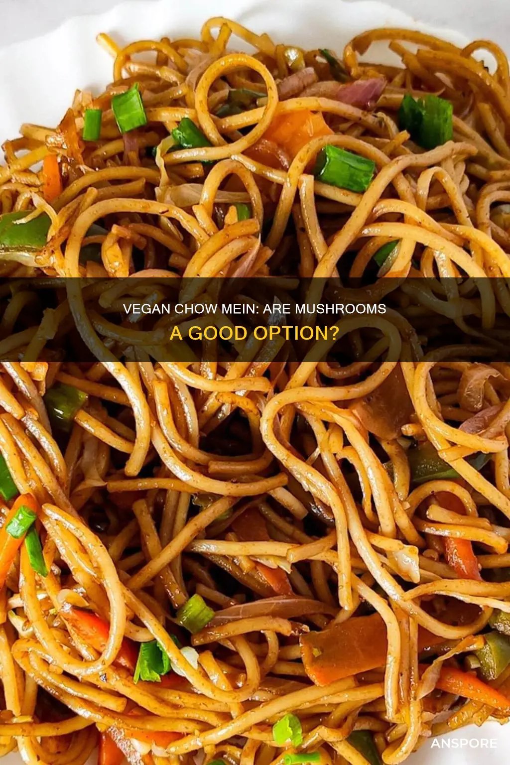 is mushroom chow mein vegan