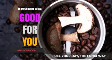 Mushroom Cocoa Benefits: Unveiling the Health Potential of This Superfood Blend