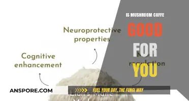 Mushroom Coffee Benefits: Health Hype or Helpful Brew?