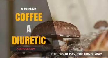 Mushroom Coffee: Diuretic or Not?
