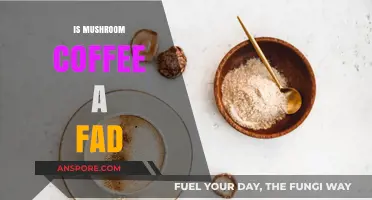Mushroom Coffee: Fad or Functional Brew?