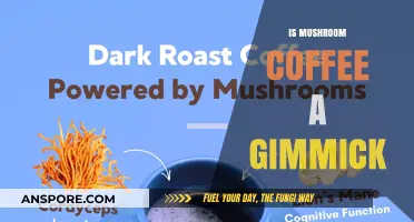 Mushroom Coffee: Gimmick or Healthy Brew?