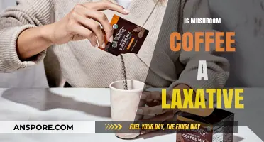 Mushroom Coffee: A Natural Laxative?
