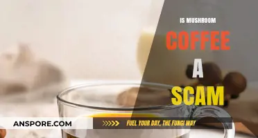 Mushroom Coffee: Healthy Brew or Scam?