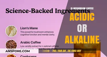 Mushroom Coffee Acidity: Unveiling Its pH Level and Health Impact