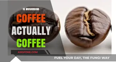 Mushroom Coffee: Is It Really Coffee?