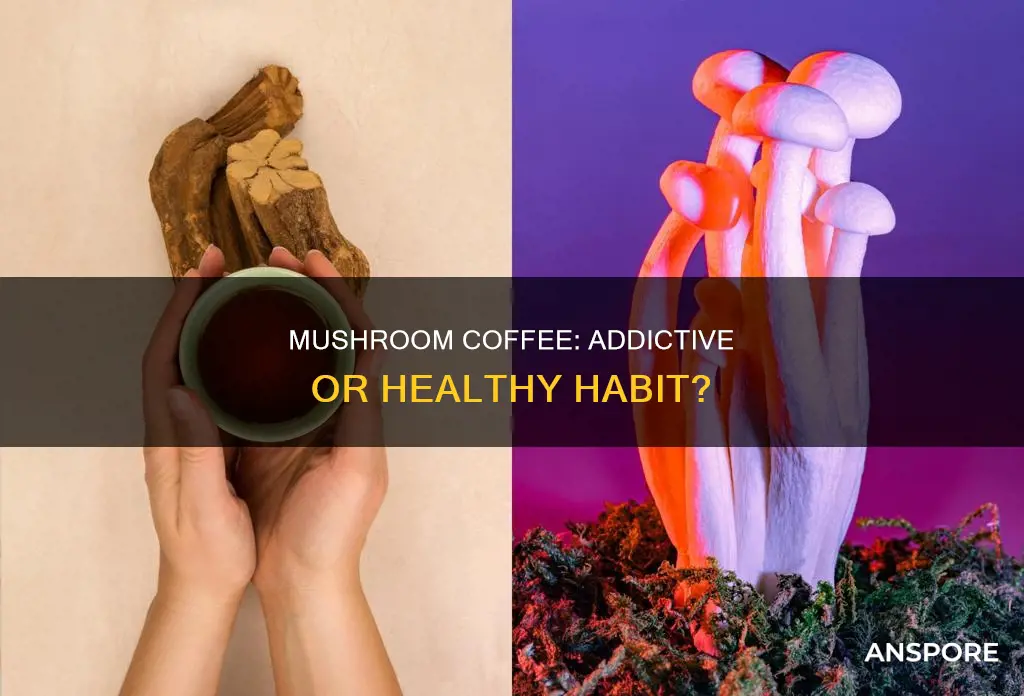 is mushroom coffee addictive