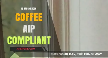 Mushroom Coffee AIP Compliance: What You Need to Know