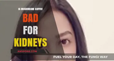 Mushroom Coffee and Kidney Health: What You Need to Know