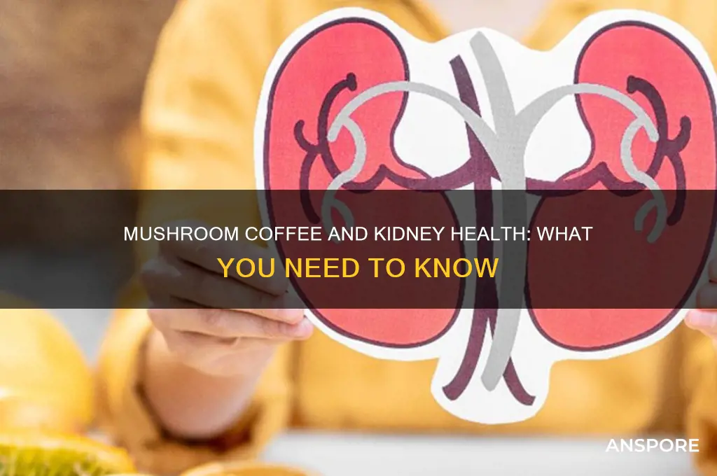 is mushroom coffee bad for kidneys