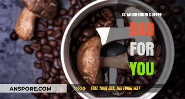 Mushroom Coffee: Health Benefits or Hidden Risks? What You Need to Know