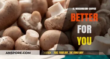 Mushroom Coffee Benefits: Healthier Alternative or Just a Trend?