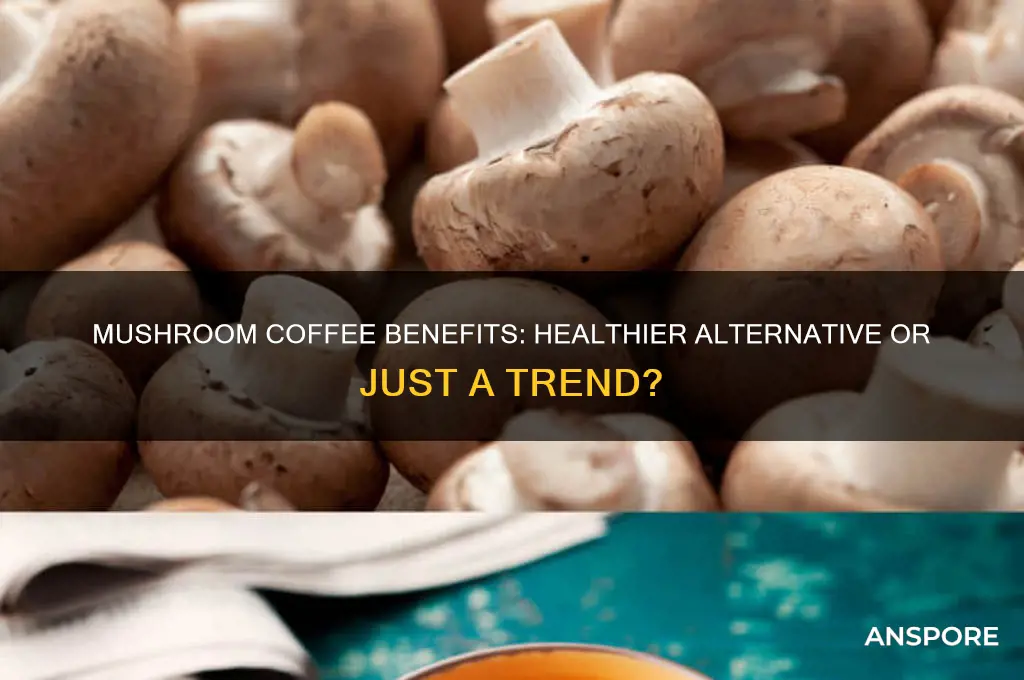 is mushroom coffee better for you