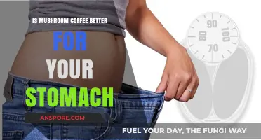 Mushroom Coffee: A Stomach-Friendly Alternative to Traditional Brews?