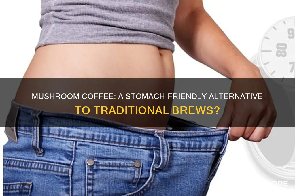 is mushroom coffee better for your stomach