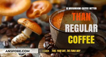 Mushroom Coffee vs. Regular Coffee: Which Brew Boosts Health Better?