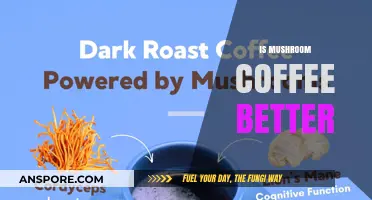 Mushroom Coffee: Superfood or Super-Hype?