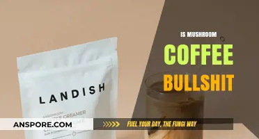 Mushroom Coffee: Superfood or Super-Hype?