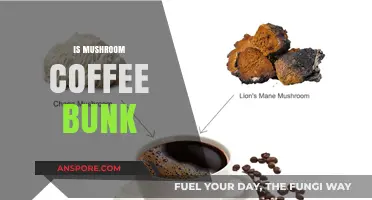 Mushroom Coffee: Healthy Brew or Bunk?