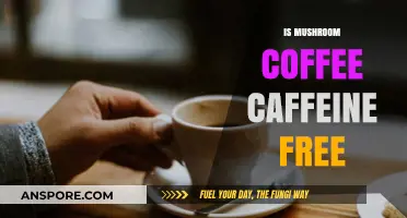 Mushroom Coffee: Caffeine-Free or Not?