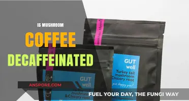 Mushroom Coffee: Decaf or Not?