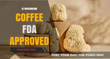 Mushroom Coffee: FDA-Approved Super Drink?