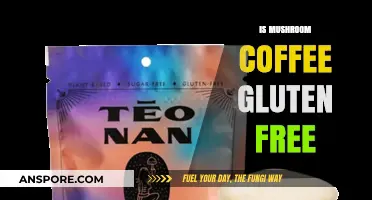 Mushroom Coffee: Gluten-Free Super Brew?