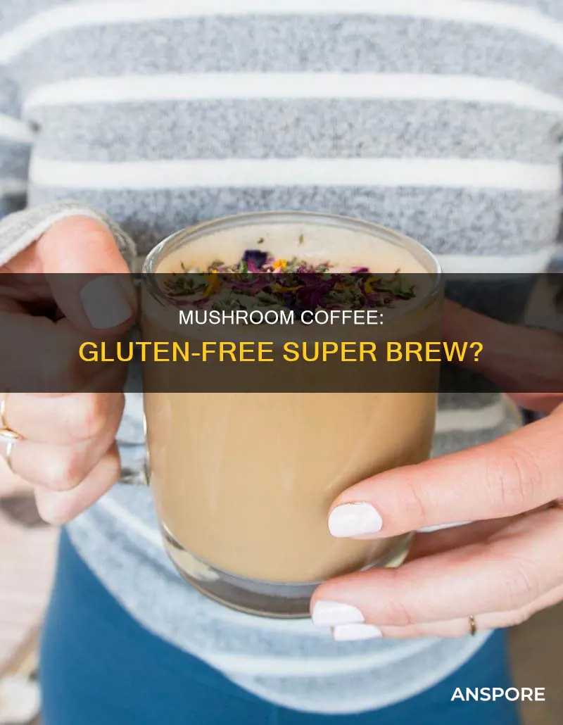 is mushroom coffee gluten free