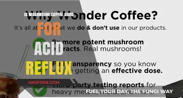 Mushroom Coffee and Acid Reflux: Benefits or Risks?