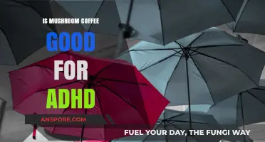 Mushroom Coffee and ADHD: Potential Benefits and Considerations