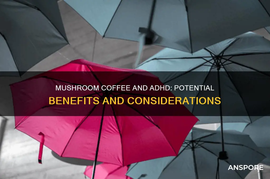 is mushroom coffee good for adhd