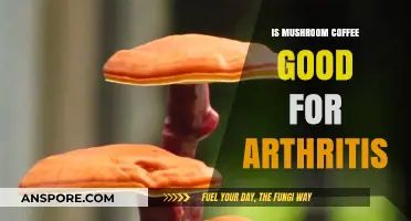 Mushroom Coffee Benefits: Can It Ease Arthritis Symptoms Naturally?