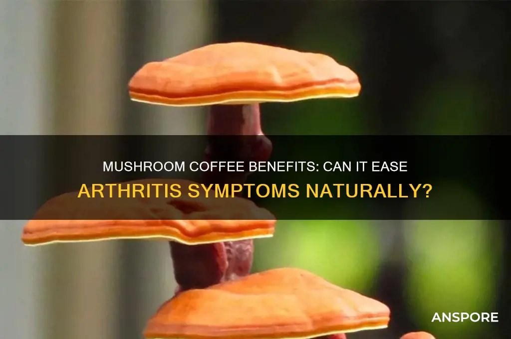 is mushroom coffee good for arthritis