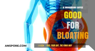Mushroom Coffee and Bloating: A Natural Remedy or Myth?