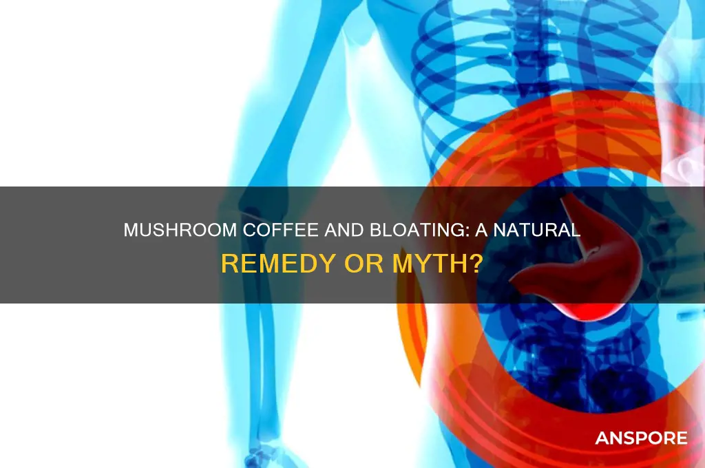 is mushroom coffee good for bloating
