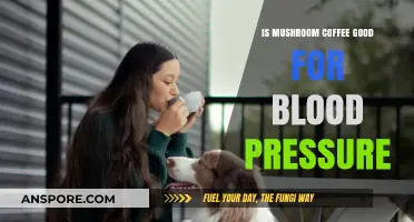 Mushroom Coffee and Blood Pressure: Benefits, Risks, and What to Know