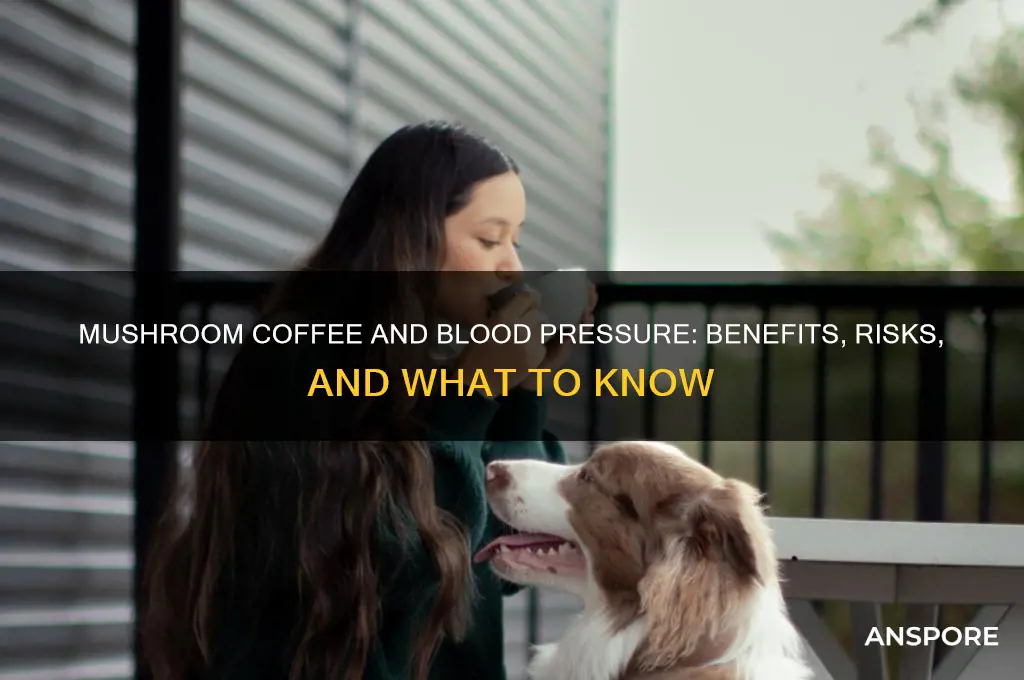 is mushroom coffee good for blood pressure