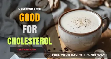 Mushroom Coffee and Cholesterol: Benefits, Risks, and What to Know