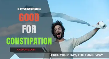 Mushroom Coffee and Constipation: Benefits, Risks, and Relief Explained