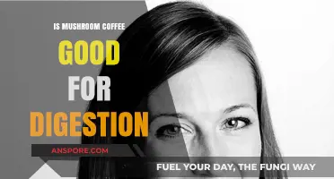 Mushroom Coffee and Digestion: Benefits, Myths, and Gut-Friendly Insights