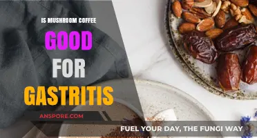 Mushroom Coffee and Gastritis: Benefits, Risks, and Expert Insights