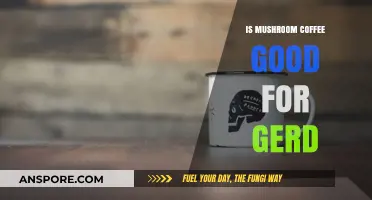 Mushroom Coffee and GERD: Benefits, Risks, and What to Know