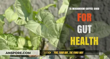 Mushroom Coffee and Gut Health: Benefits, Risks, and Science Explained