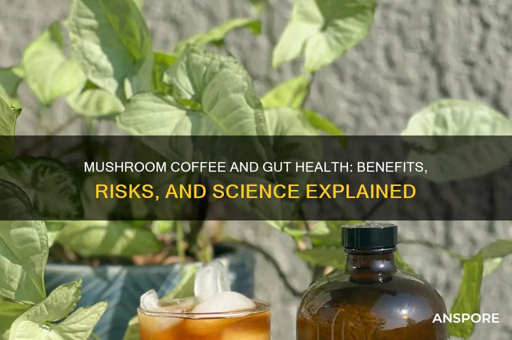 is mushroom coffee good for gut health