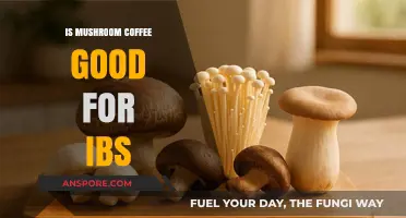Mushroom Coffee and IBS: Benefits, Risks, and Gut-Friendly Insights